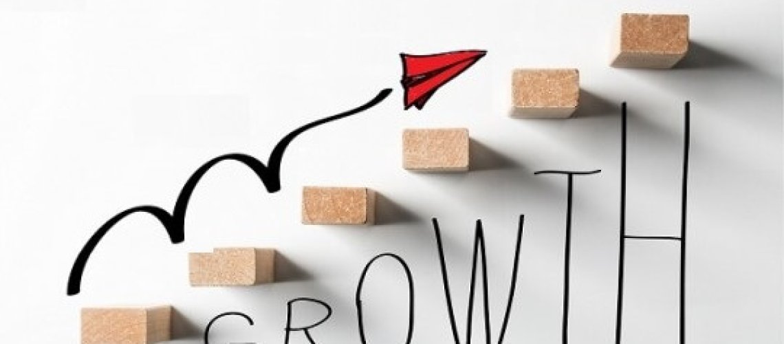 omzet groei strategie